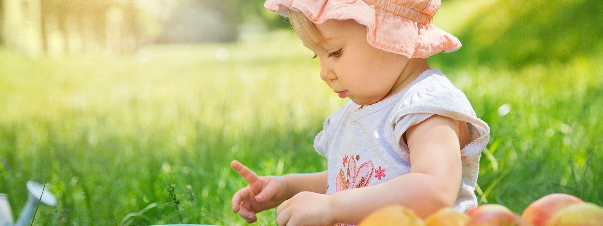 Przedszkole i żłobek w Katowicach